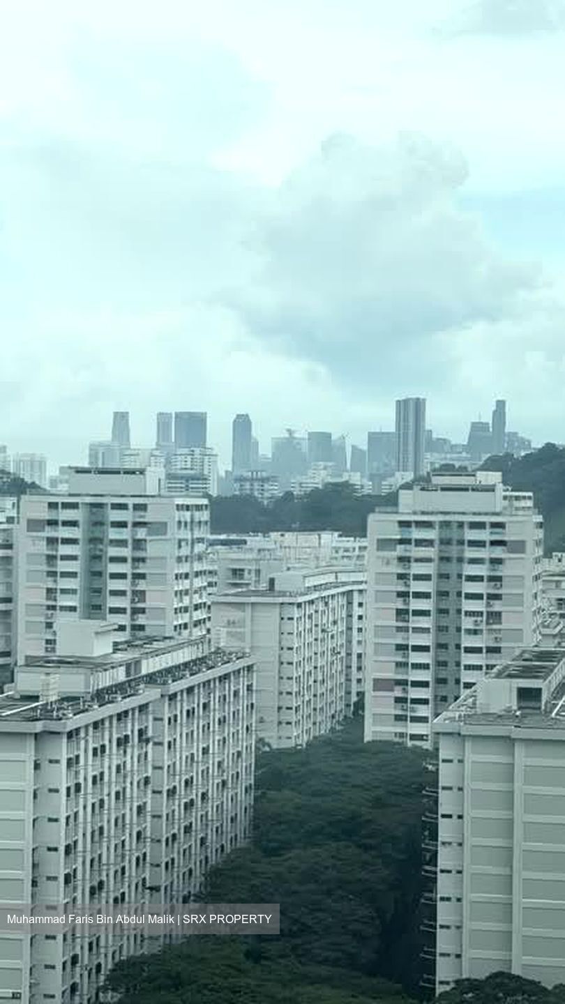 Blk 80A Telok Blangah Towers (Bukit Merah), HDB 4 Rooms #554243121